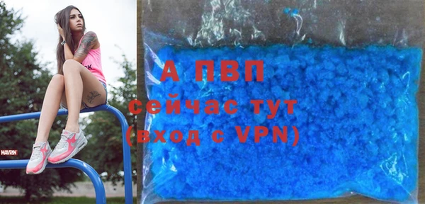 индика Абдулино