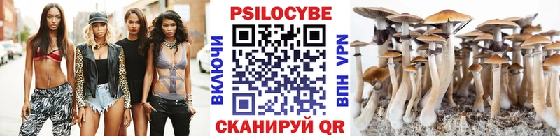 Галлюциногенные грибы ЛСД  Александровск 